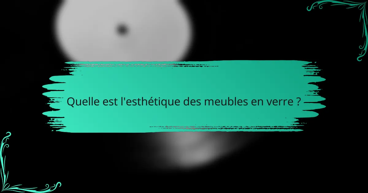 Quelle est l'esthétique des meubles en verre ?