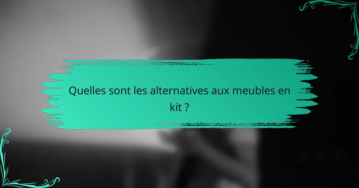 Quelles sont les alternatives aux meubles en kit ?