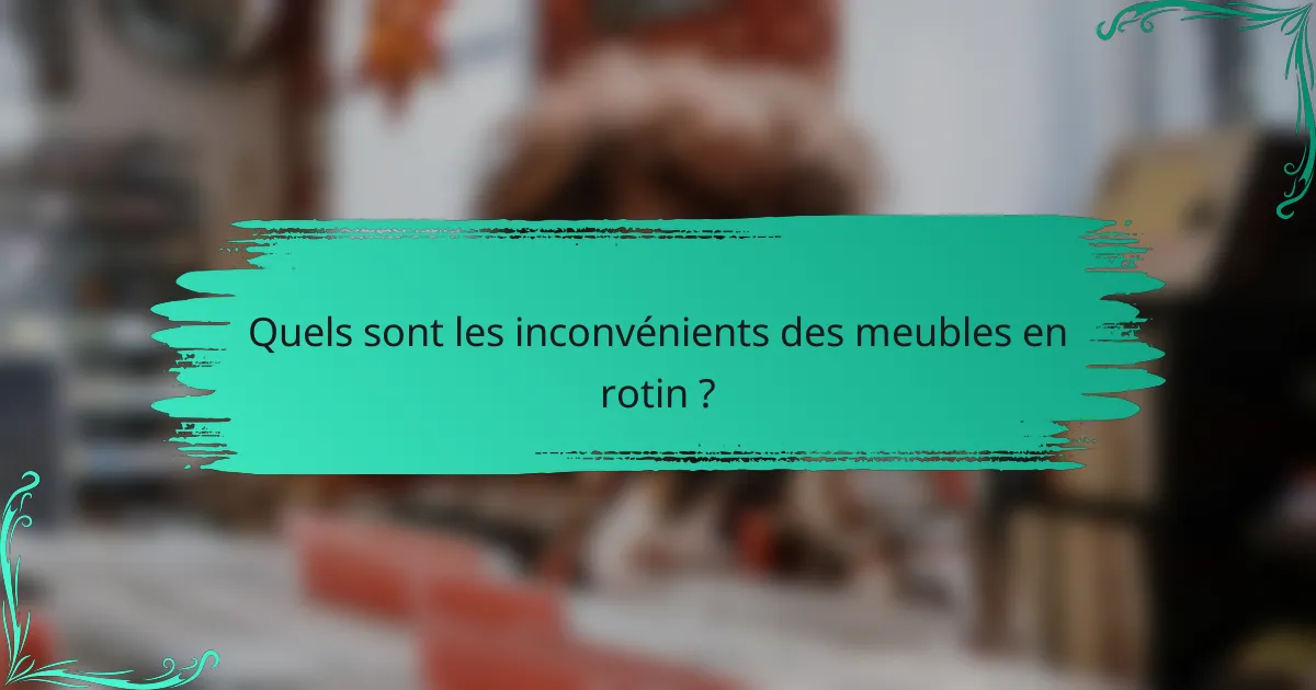 Quels sont les inconvénients des meubles en rotin ?